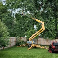 Best Weed Control  in Carlisle, IA